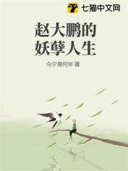 趙大鵬的妖孽人生