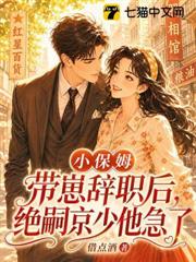 小保姆帶崽辭職後,絕嗣京少他急了 小保姆帶崽辭職後,絕嗣京少他急了