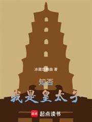 知否:我是皇太子 知否:我是皇太子