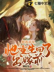 和離前夜，她重生回了出嫁前番外