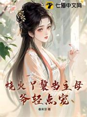 燒火丫鬟當主母，爺輕點寵