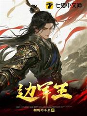 邊軍王