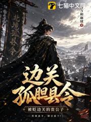 邊關孤膽縣令