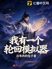 我有一個輪迴模擬器
