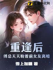 重逢後，傅總天天盼著前女友離婚