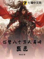你管八十萬人馬叫匪患？