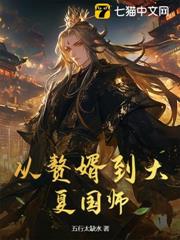 從贅婿到大夏國師