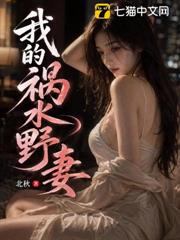 我的禍水野妻