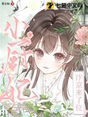 汴京來了位小廚妃