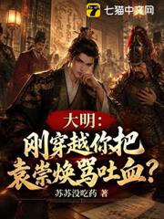 大明：剛穿越你把袁崇煥罵吐血？