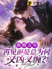 離婚五年，再見面晏總為何又凶又纏？