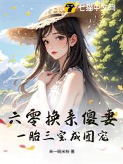 六零換親傻妻，一胎三寶成團寵