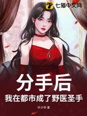 分手後，我在都市成了野醫聖手