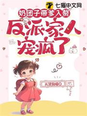 奶糰子帶爹入贅，反派家人寵瘋了