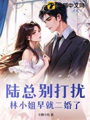 陸總別打擾，林小姐早就二婚了