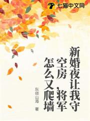 新婚夜讓我守空房，將軍怎麼又爬牆