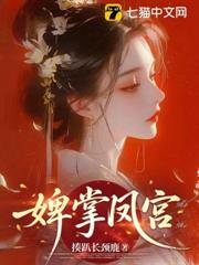她奪鳳釵