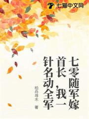 七零隨軍嫁首長，我一針名動全軍