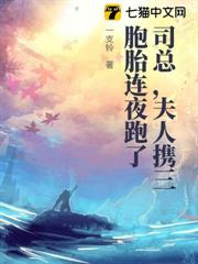 司總，夫人攜三胞胎連夜跑了