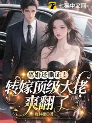 離婚還撕證！轉嫁頂級大佬爽翻了