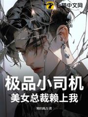 極品小司機，美女總裁賴上我