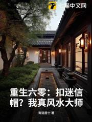 重生六零：扣迷信帽？我真風水大師！
