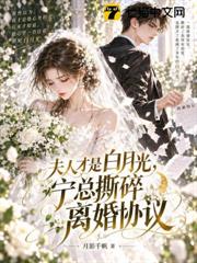夫人才是白月光，寧總撕碎離婚協議