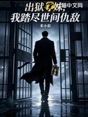 出獄尋妹，我踏盡世間仇敵
