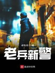 老兵新警 老兵新警