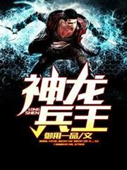 神龍兵王 神龍兵王