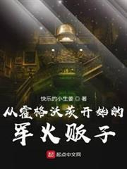 從霍格沃茨開始的軍火販子 從霍格沃茨開始的軍火販子