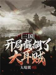三國:開局截胡了大耳賊 三國:開局截胡了大耳賊