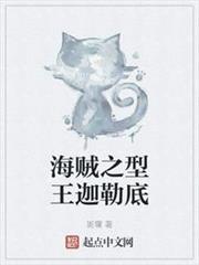 海賊之型王迦勒底 海賊之型王迦勒底