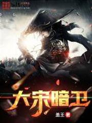 大宋暗衛 大宋暗衛