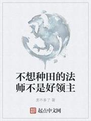 不想種田的法師不是好領主 不想種田的法師不是好領主