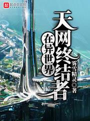 天網終結者在異世界 天網終結者在異世界
