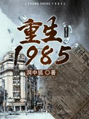 重生1985 重生1985