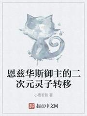 恩茲華斯御主的二次元靈子轉移 恩茲華斯御主的二次元靈子轉移