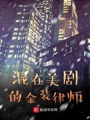 混在美劇的金裝律師 混在美劇的金裝律師