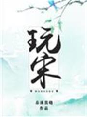 玩宋 玩宋