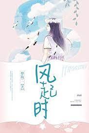 風起時 風起時