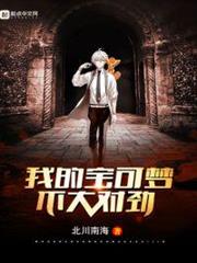 我的寶可夢不大對勁 我的寶可夢不大對勁