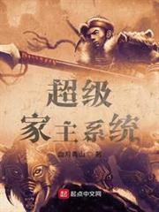 超級家主系統 超級家主系統