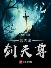 我真是劍天尊 我真是劍天尊