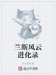 蘭斯風雲進化錄 蘭斯風雲進化錄