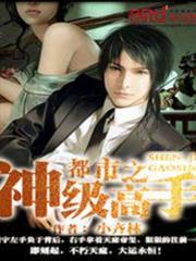 都市之神級高手