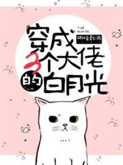 穿成三個大佬的白月光 穿成三個大佬的白月光