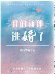 我的新郎逃婚了 我的新郎逃婚了