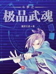 斗羅之極品武魂 斗羅之極品武魂