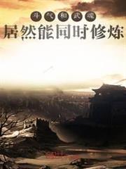 鬥氣和武魂居然能同時修煉 鬥氣和武魂居然能同時修煉